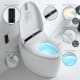 Eira Nashi New Intelligent Japanese Toilette (In-Tank) principal 1