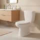 Inodoro completo Luxor Unisan Sanindusa ambiente 4