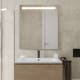 Espejo de baño con luz LED Tarim Bruntec principal 1