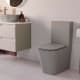 Inodoro compacto Serene Fossil Natura ambiente 4