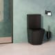 Inodoro compacto Venecia Fossil Natura ambiente 1
