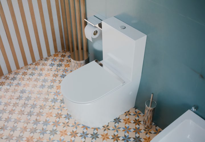 Inodoro compacto Elba Fossil Natura ambiente 5