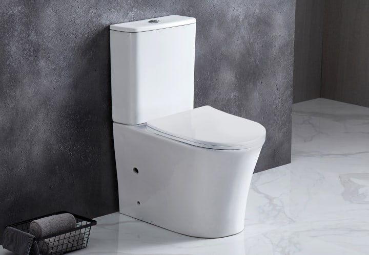 Inodoro Paris Bruntec ambiente 7