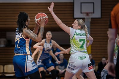 Vítězný vstup do nového roku