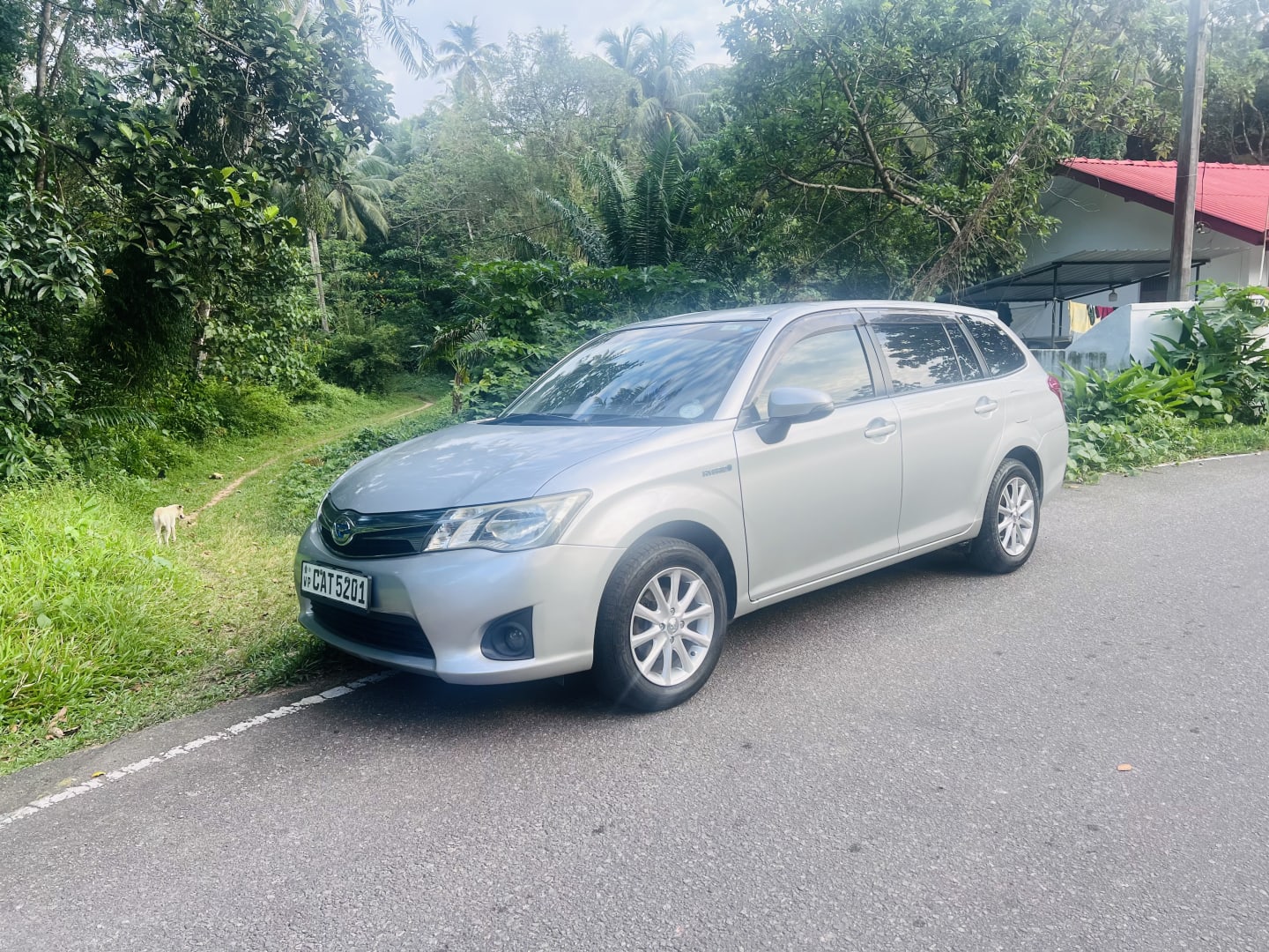 Toyota Axio Fielder