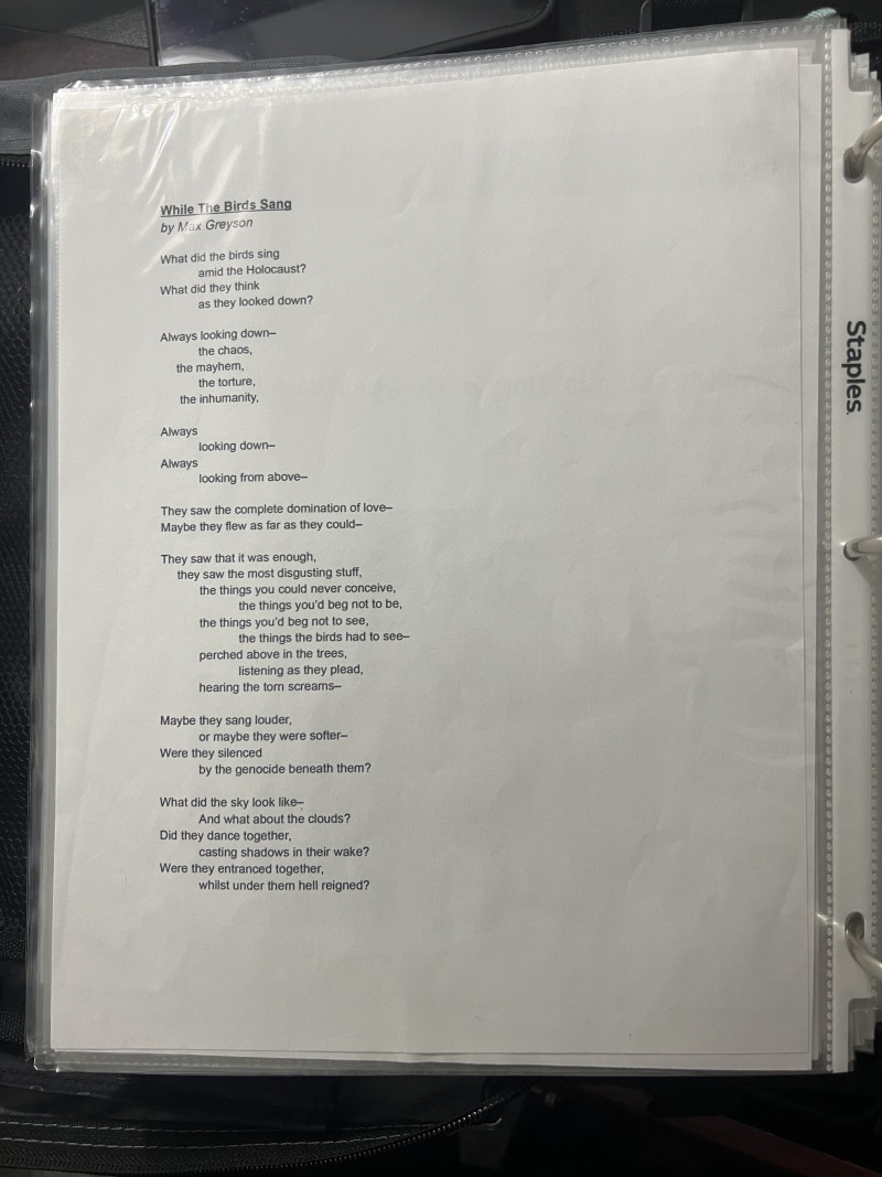 Grandson's Poem of the Holocaust Pt.1