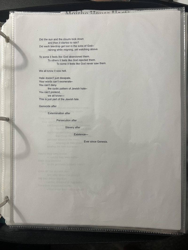 Grandson's Poem of the Holocaust Pt.2