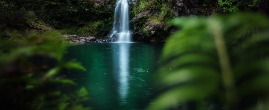 Wide-angle landscape photograph with flowers or rocks in the sharp foreground leading to mountains or scenery behind