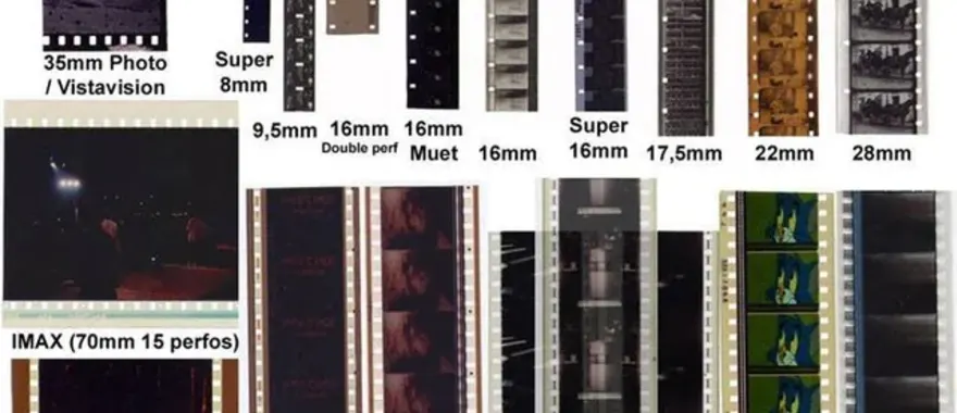 35mm film canister, 120 medium format roll, and large format 4x5 sheet film arranged side by side