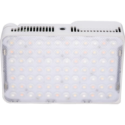 amaran Ace 25c - White