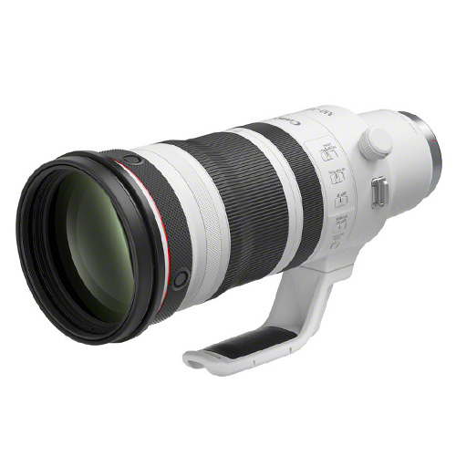 RF 100-300mm f/2.8L IS USM
