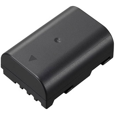 Lumix Panasonic DMW-BLF19E Battery