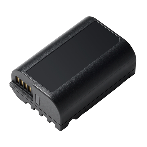 Lumix Panasonic DMW-BLK22E Battery