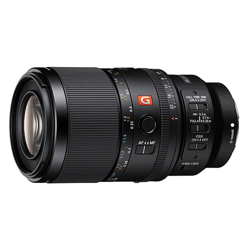 FE 100mm f/2.8 Macro GM OSS