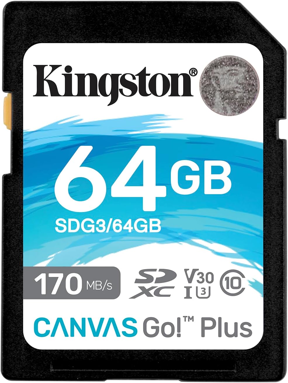 Kingston Canvas Go Plus 64GB SD