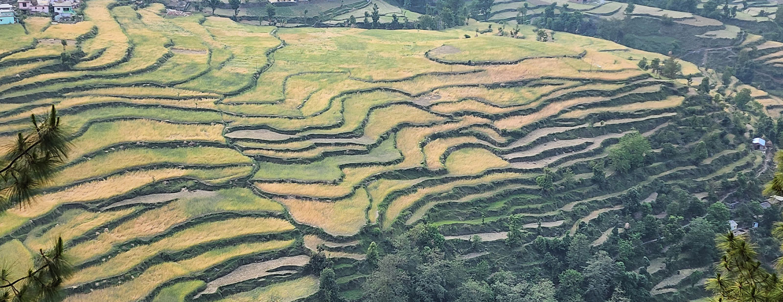Bageshwar, Uttarakhand