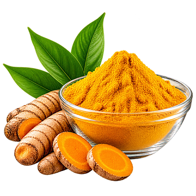 Curcumin (C-95)