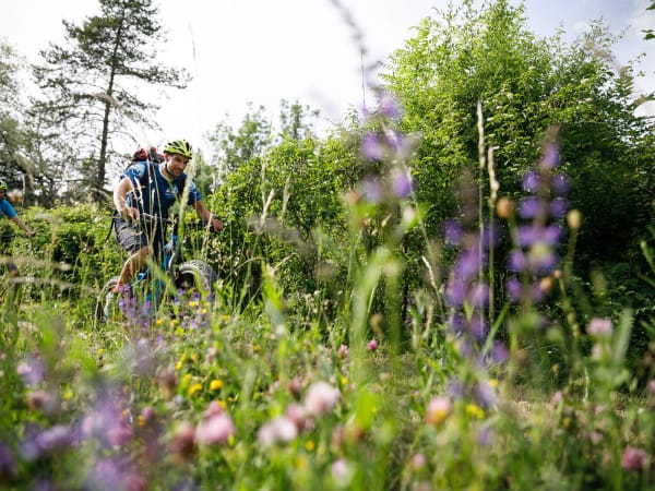 Une personne en VTT sur en chemin en fleurs en nature