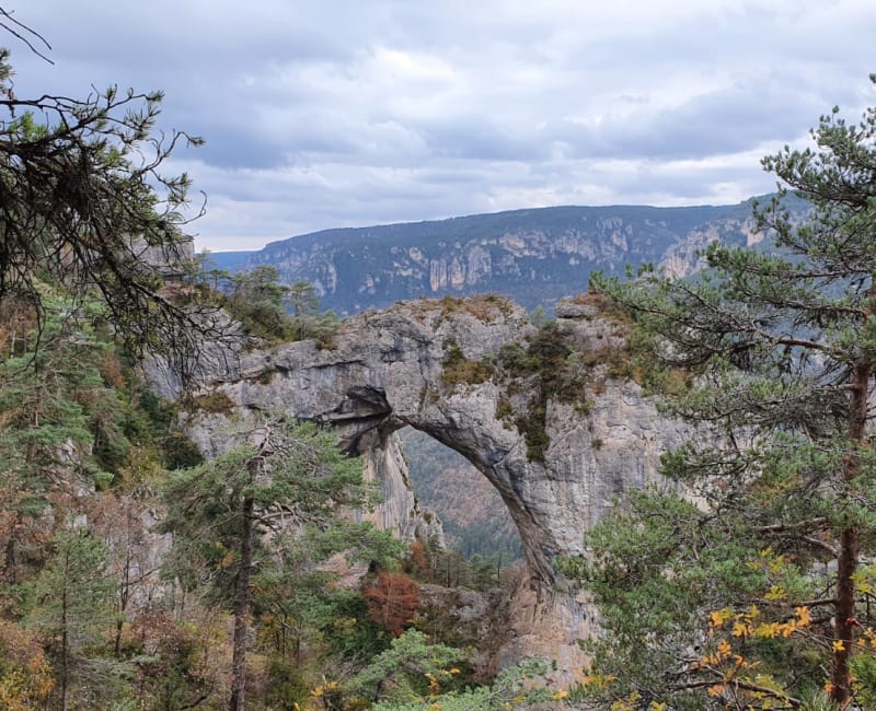 Paysage nature en Lozère