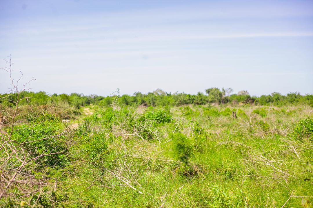 Residential Plots – Kigamboni (Cheka), Dar es Salaam