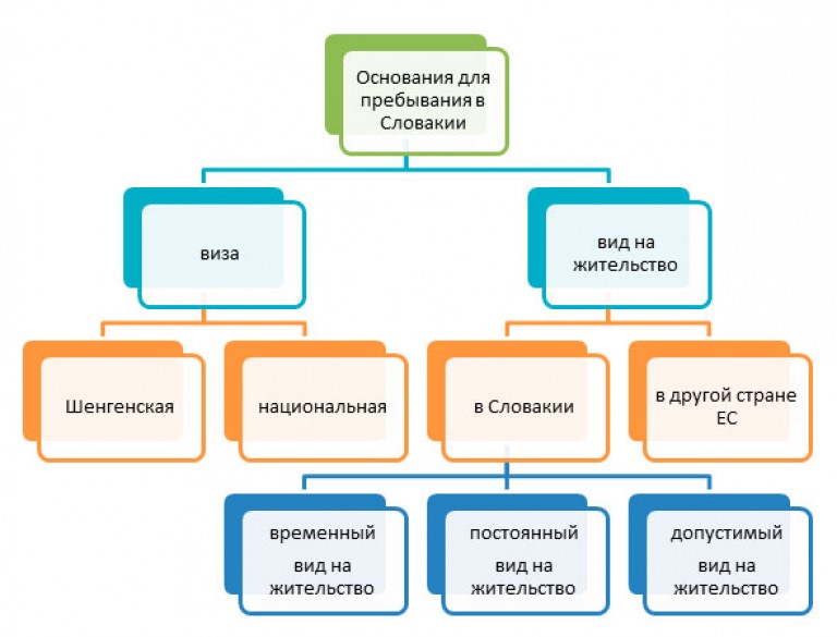 Презентация виды виз