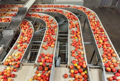 Food Manufacturing Thermal Imaging Surveys