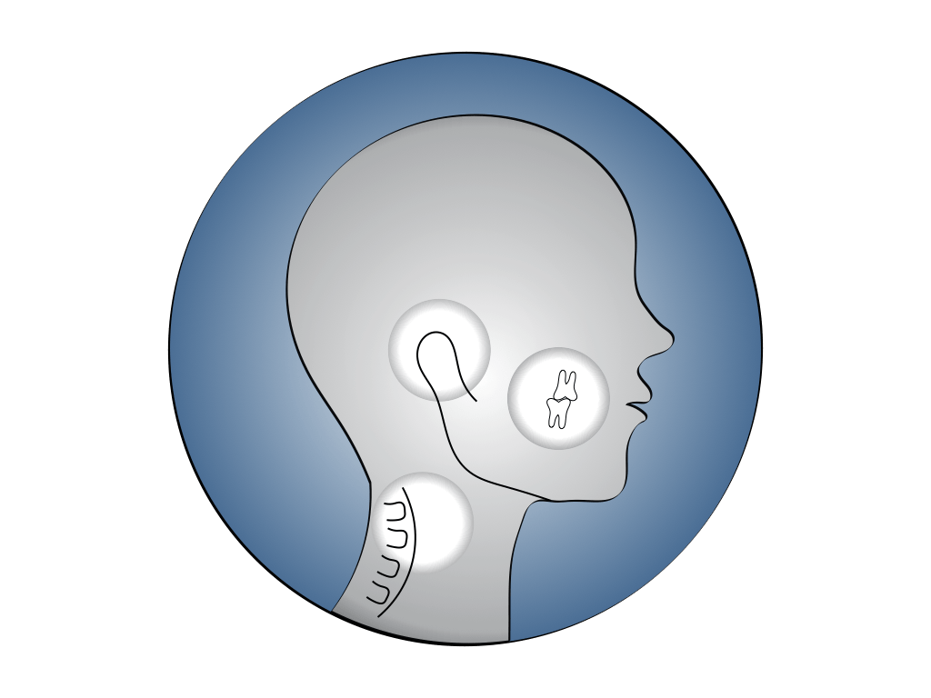 Logo BOC