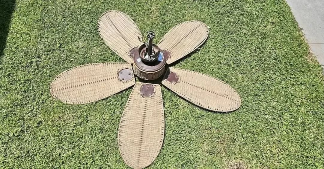 2 Ventiladores Techo Terraza Ratán 5 aspas - Imagen 2