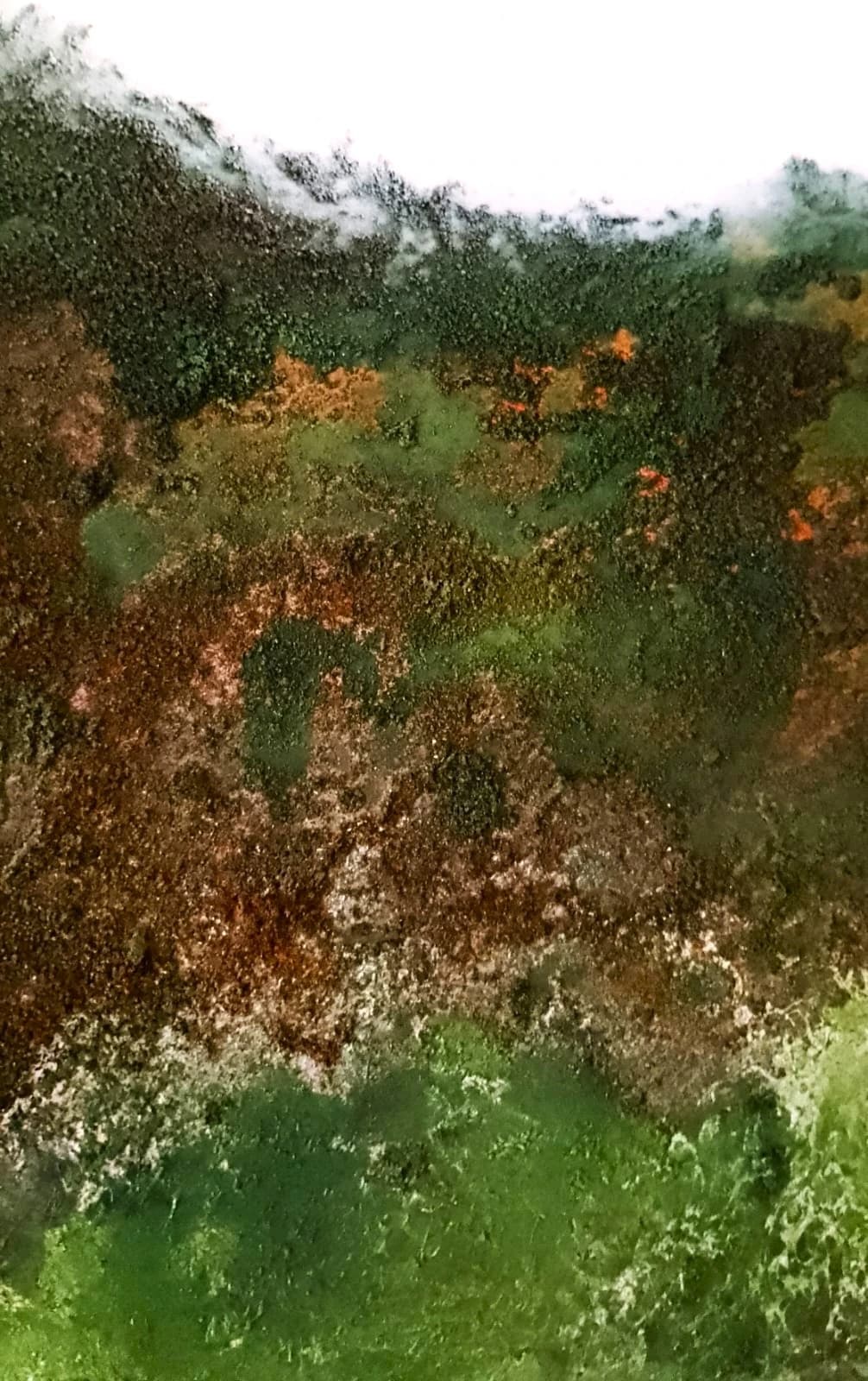 Cuadro Abstracto "Niebla en Bialowieza, Polonia" - Imagen 4