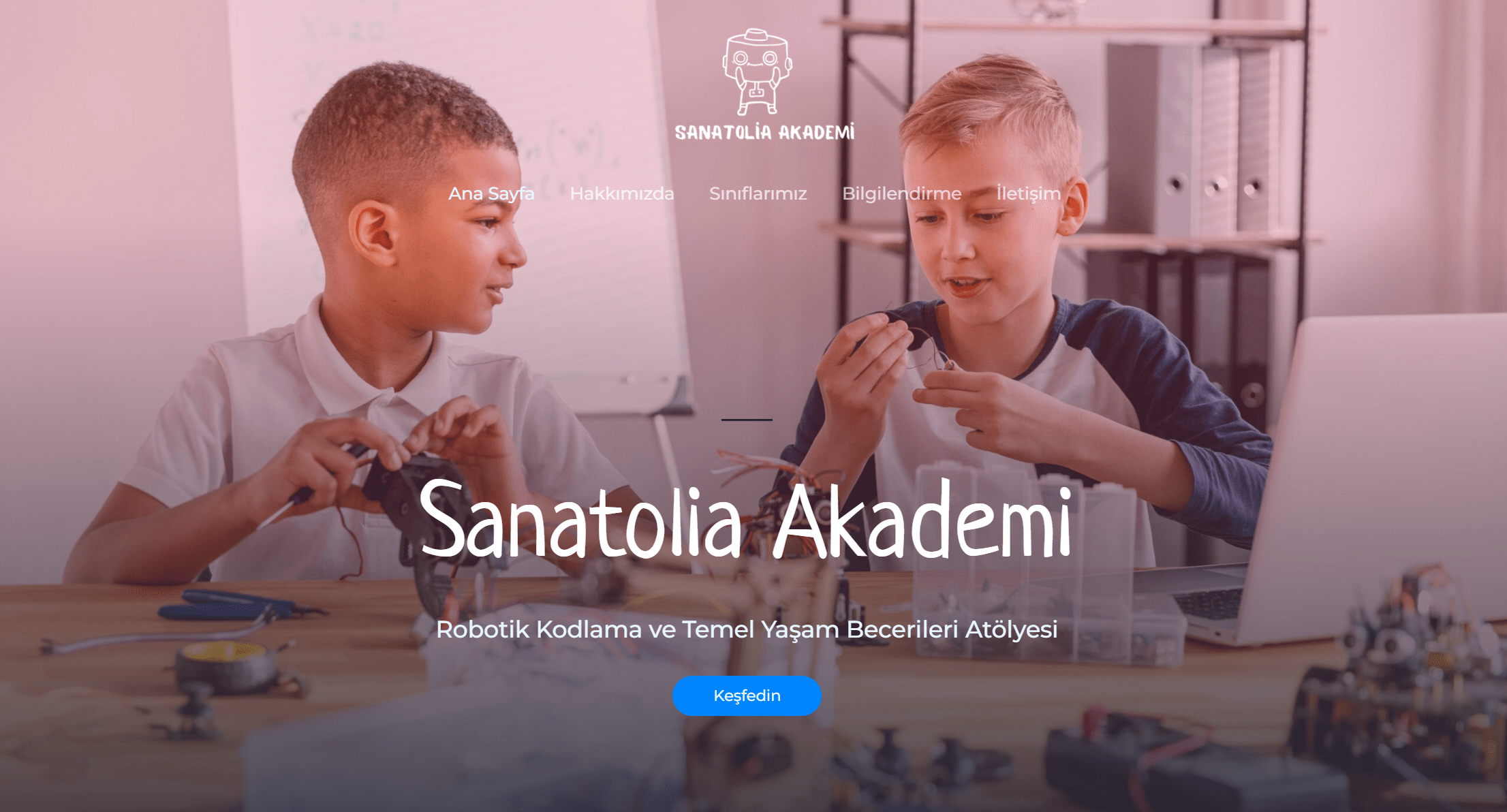 Sanatolia Akademi