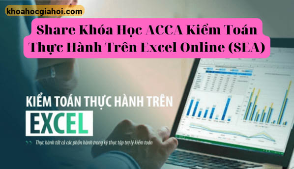 Khóa Học Acca Kiểm Toán Thực Hành Trên Excel Online (SEA)