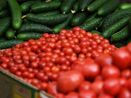 Цены на сезонные продукты питания стали снижаться в России