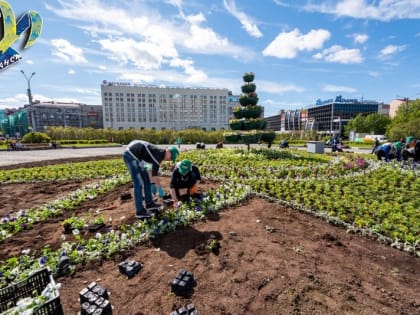 В Мурманске появятся дизайнерские клумбы