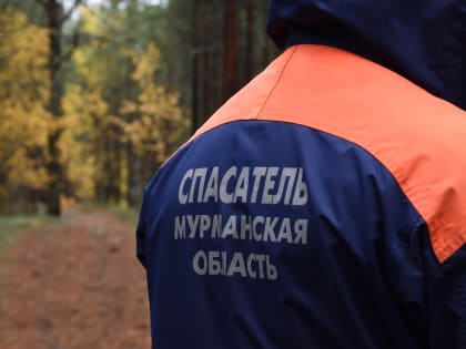 Спасатели нашли семью из Кандалакши, заблудившуюся в лесу под Лоухами