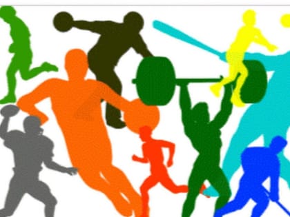 В Мурманской области продолжится развитие массового и профессионального спорта