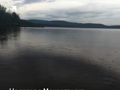 У озера в Мончегорске нашли труп