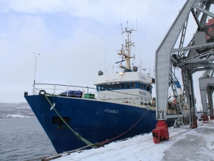Мурманский рыбный порт в этом году вложит более 800 млн. рублей в модернизацию и ремонты