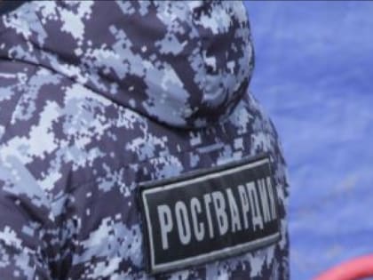 Алководитель в Мончегорске врезался в машину росгвардейцев