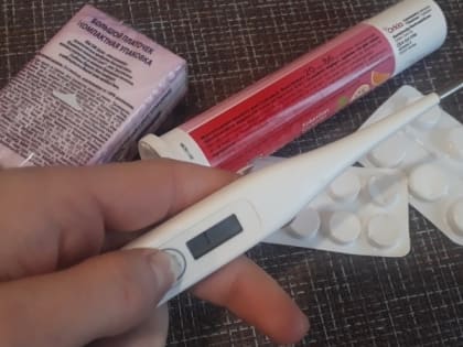 Заболеваемость ОРВИ и гриппом в Заполярье снижается во всех возрастных категориях