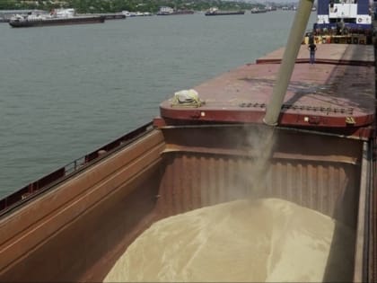 В России снизился экспорт зерна в июле
