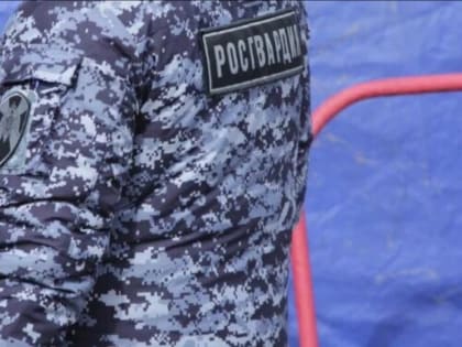 В российском регионе алководитель насмерть сбил двух детей