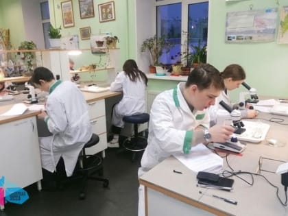 Практический тур олимпиады по биологии прошел в лабораториях МГТУ