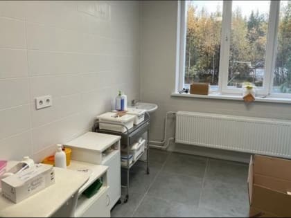 Ремонт поликлиники и стационара в Умбе завершат до конца года