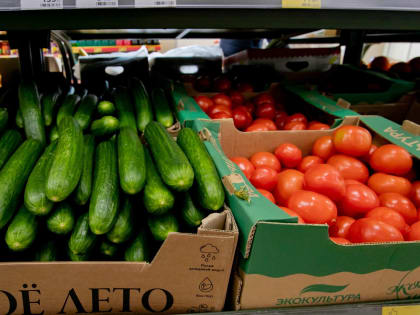 Названы причины подорожания огурцов и помидоров в России