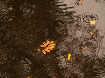 До +10 градусов ожидается в Мурманской области