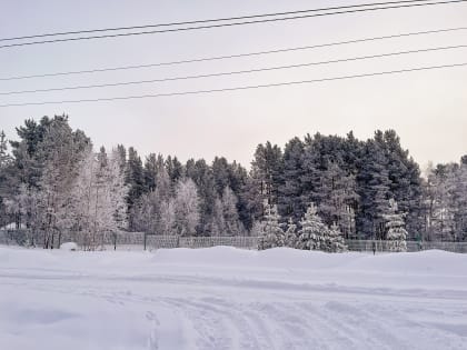 С середины дня в Мурманской области ожидается небольшое потепление
