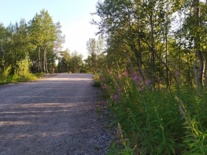 Прогноз погоды в Мурманске на 18 июля
