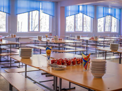 Случаи заболевания острым гастроэнтеритом зарегестрированы в школе Североморска