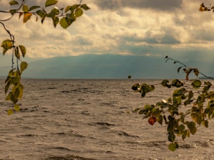 До +12 градусов ожидается в Мурманской области