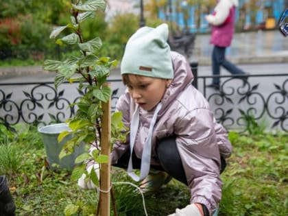 Добровольческая деятельность объединила тысячи северян